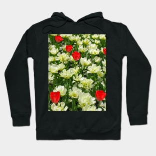 White and Red Tulips Hoodie